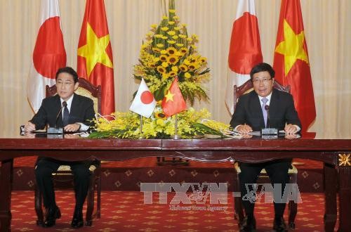 Renforcer la coopération multisectorielle Vietnam-Japon - ảnh 1